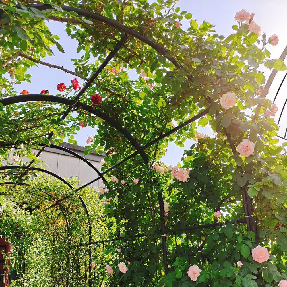 Hot Seller Garden 86.6 In. Iron Arch Black Trellis with Double Gate Design for High Climbing Plants Support Rose